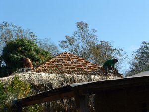 Roofing the palapa